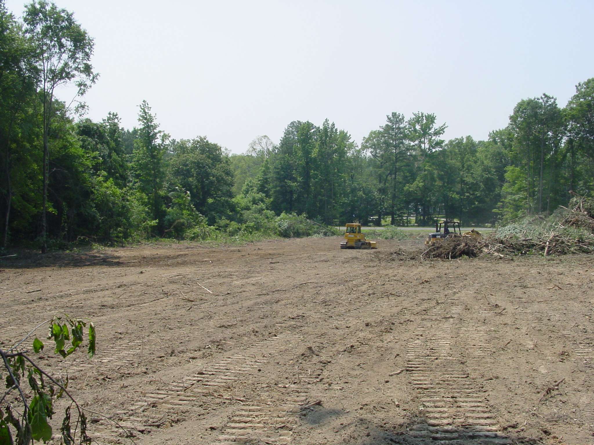 Worksite with trees removed