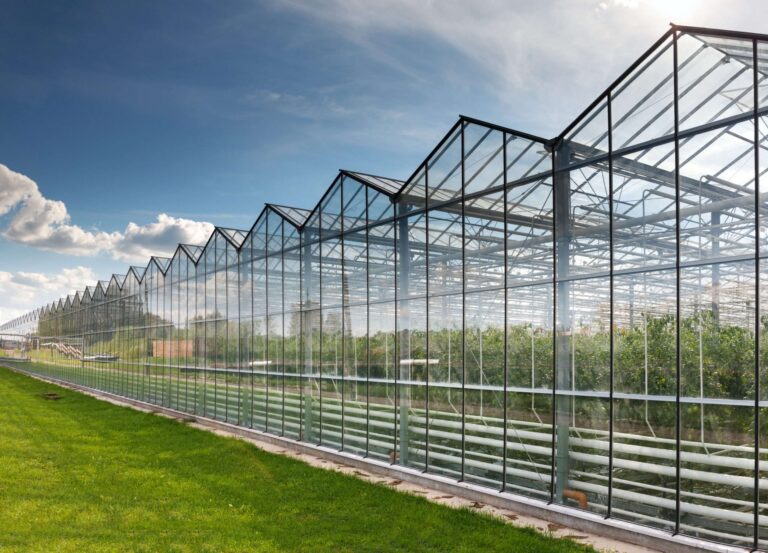 agricultural-construction
